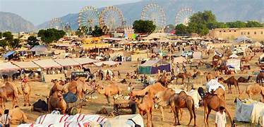Pushkar Fair Tour